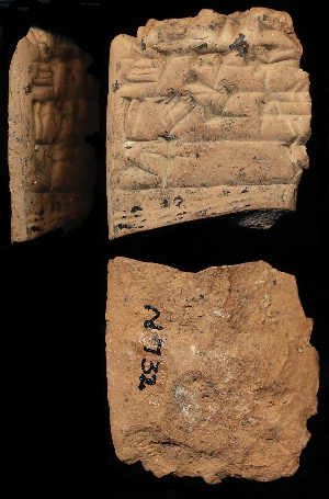 N732