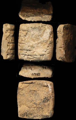 N733