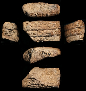 N743