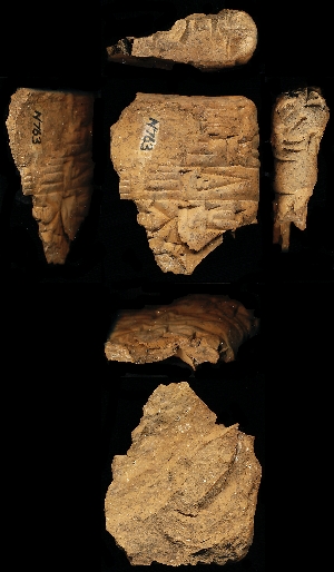 N763