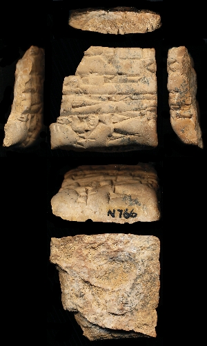 N766