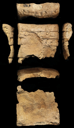 N767