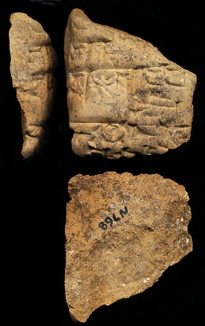 N768