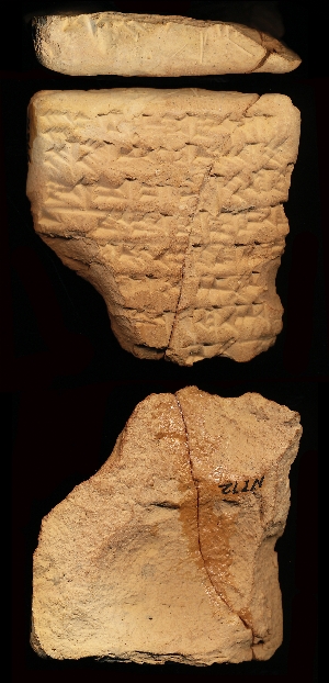 N772