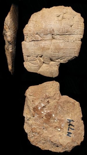 N774