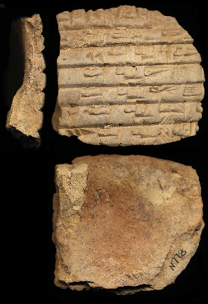 N778
