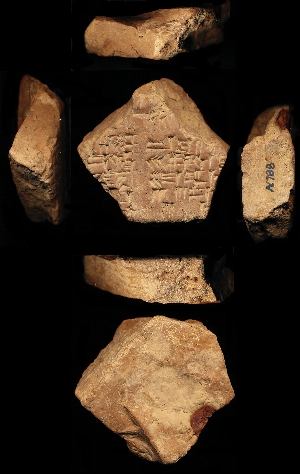 N788