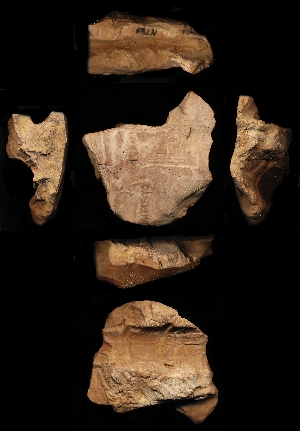 N789