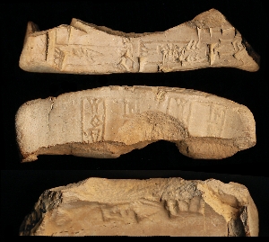 N796