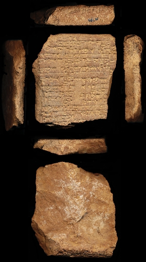 N799