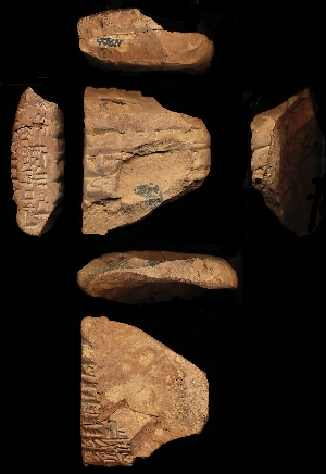N806