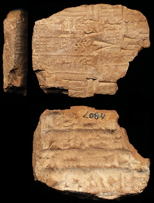N807