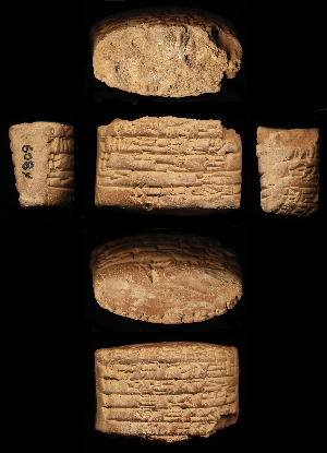 N809
