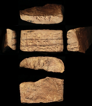 N811