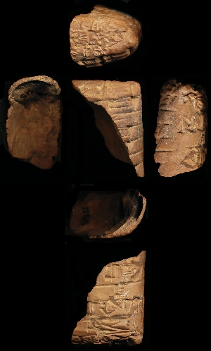 N815