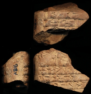 N816