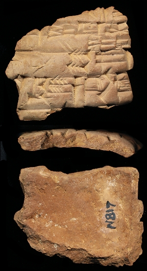 N817