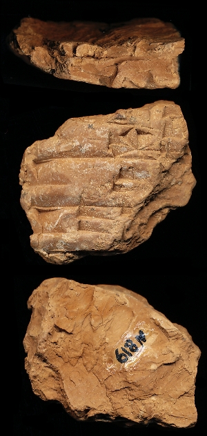 N819