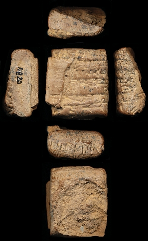 N820