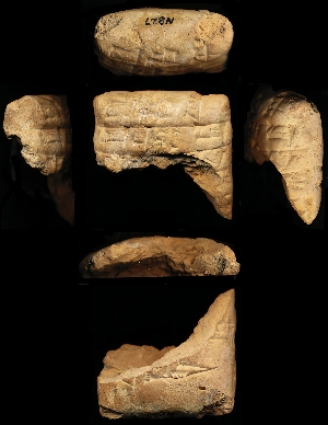 N827