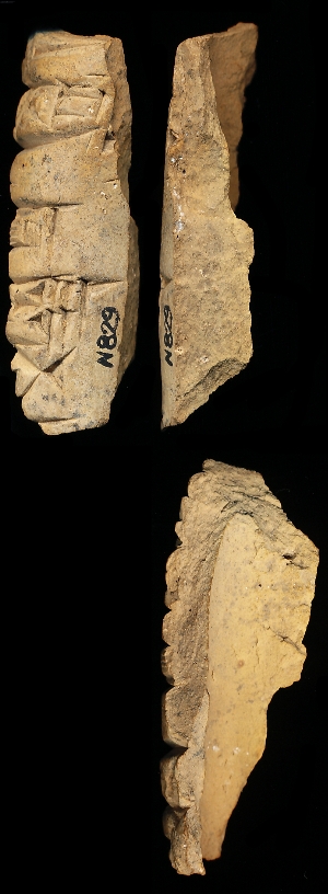 N829