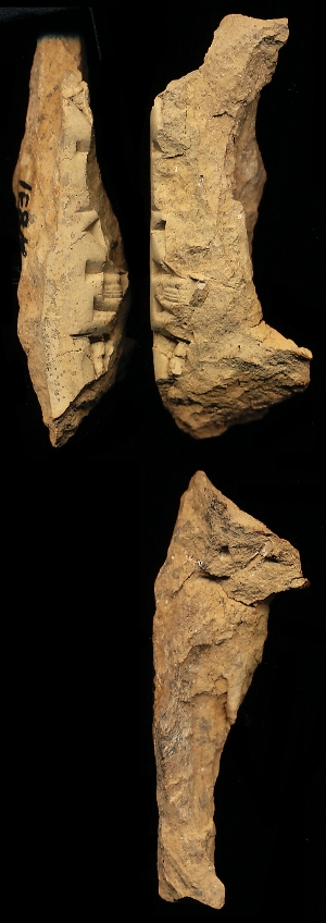 N831