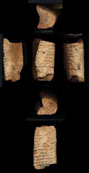 N838