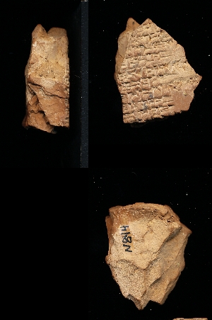 N844