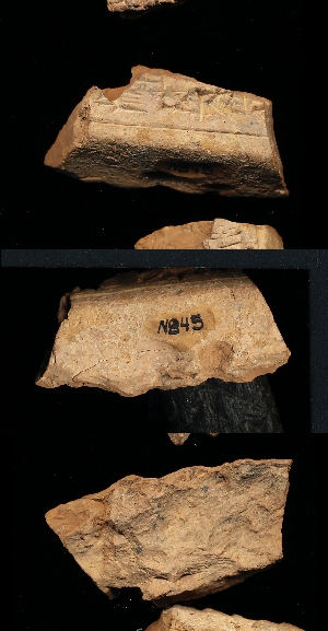 N845
