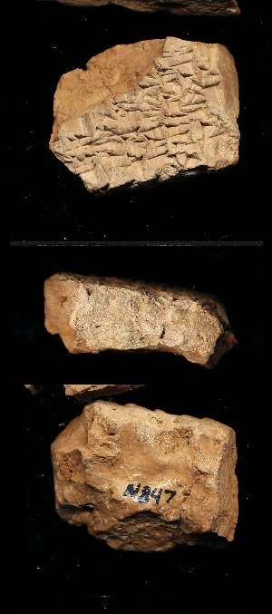 N847
