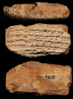 N850