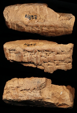 N853