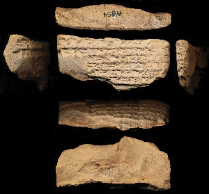 N854