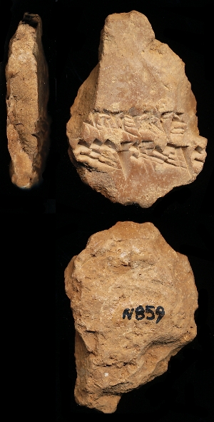 N859