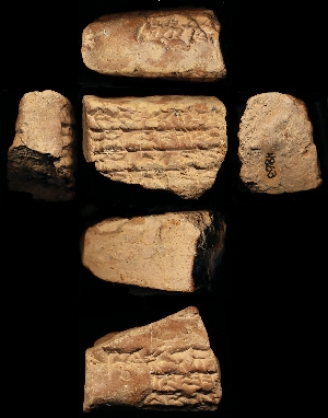 N863