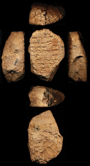 N864