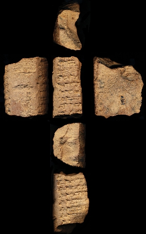 N869