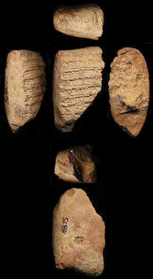 N875