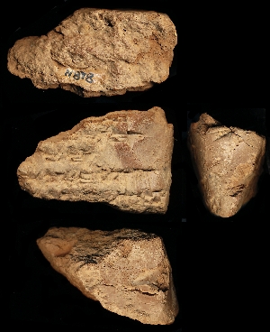 N878