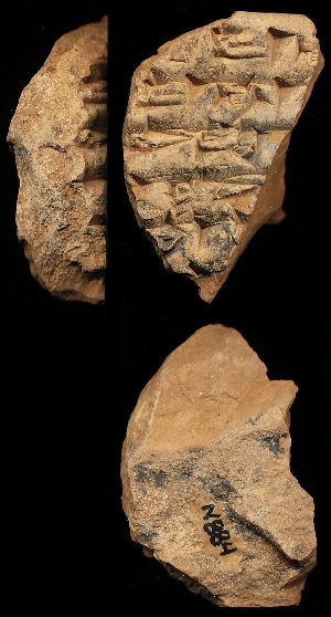N884