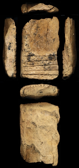 N888