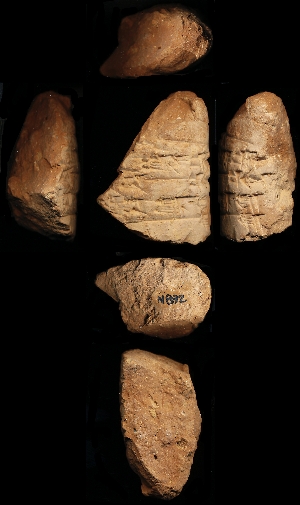 N892