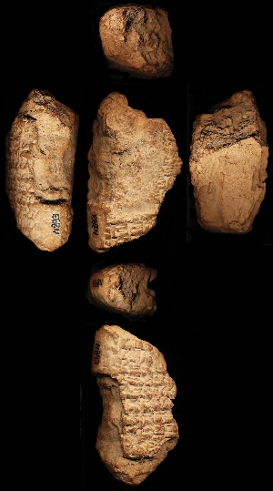 N893