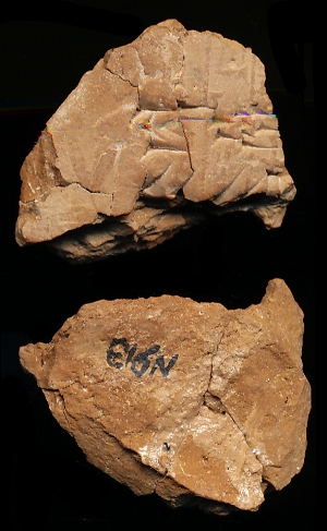 N913