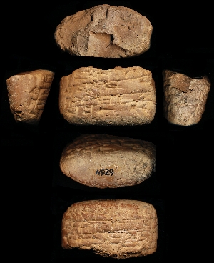 N929