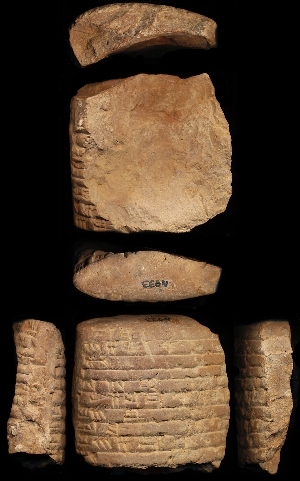 N933