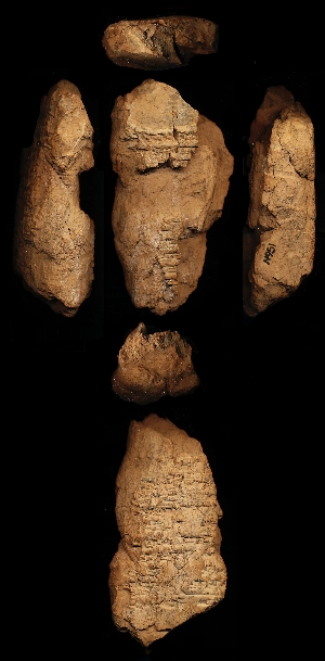 N951