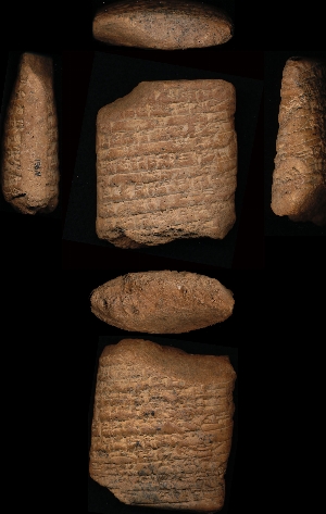 N961