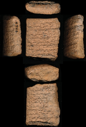 N966