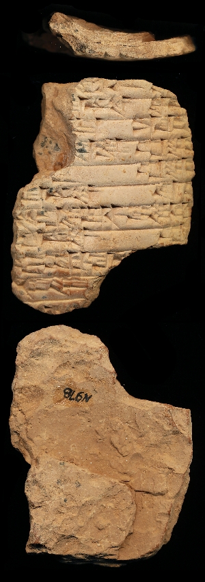 N978